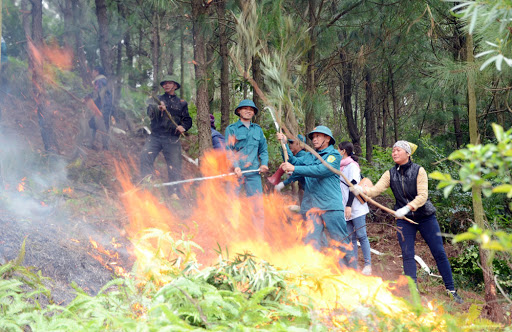 Cơ quan có thẩm quyền huy động lực lượng, phương tiện chữa cháy rừng