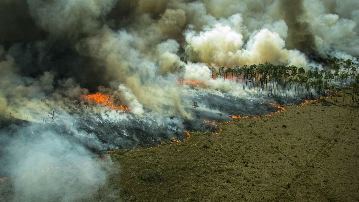 Mùa khô nguy cơ cháy rừng tăng cao